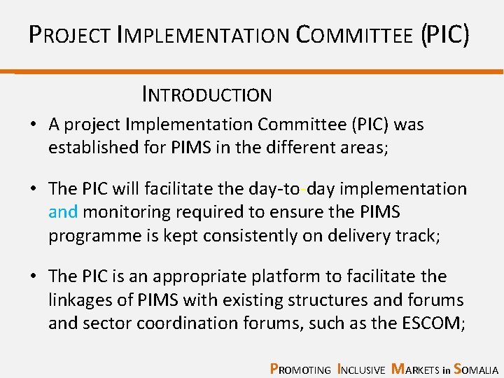 PROJECT IMPLEMENTATION COMMITTEE (PIC) INTRODUCTION • A project Implementation Committee (PIC) was established for