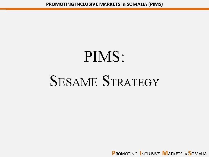 PROMOTING INCLUSIVE MARKETS in SOMALIA (PIMS) PIMS: SESAME STRATEGY PROMOTING INCLUSIVE MARKETS in SOMALIA