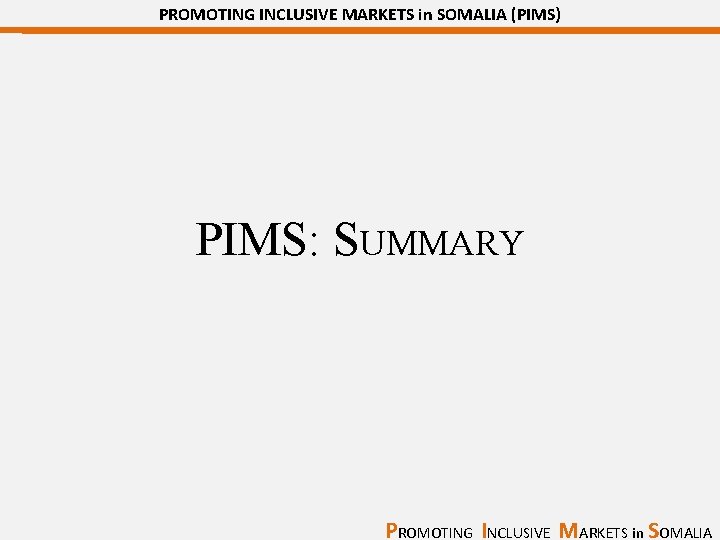 PROMOTING INCLUSIVE MARKETS in SOMALIA (PIMS) PIMS: SUMMARY PROMOTING INCLUSIVE MARKETS in SOMALIA 