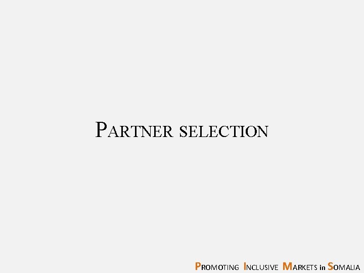 PARTNER SELECTION PROMOTING INCLUSIVE MARKETS in SOMALIA 