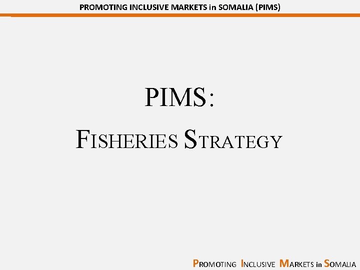 PROMOTING INCLUSIVE MARKETS in SOMALIA (PIMS) PIMS: FISHERIES STRATEGY PROMOTING INCLUSIVE MARKETS in SOMALIA