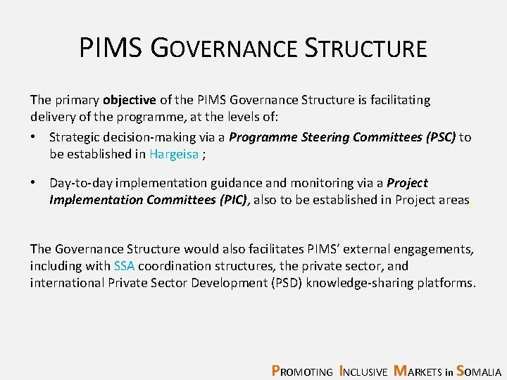 PIMS GOVERNANCE STRUCTURE The primary objective of the PIMS Governance Structure is facilitating delivery