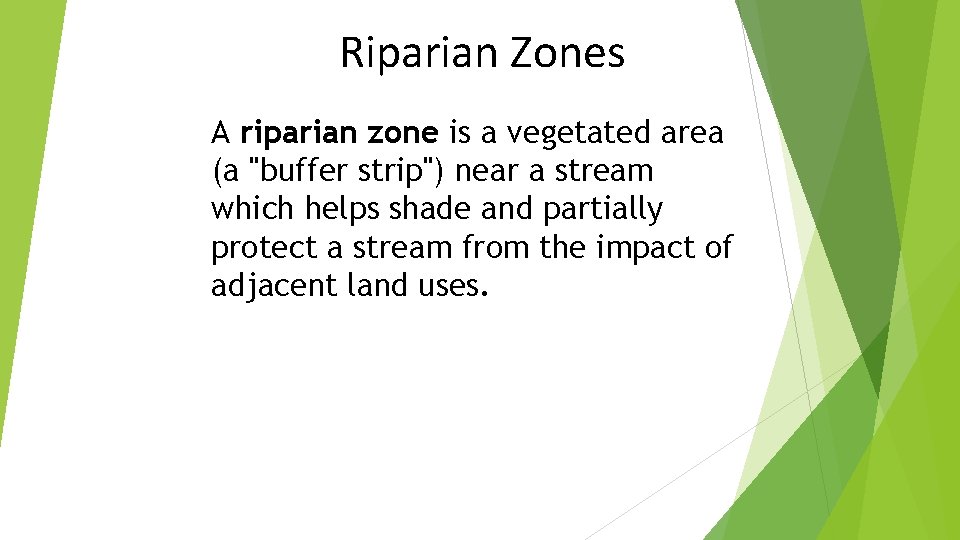 Riparian Zones A riparian zone is a vegetated area (a "buffer strip") near a