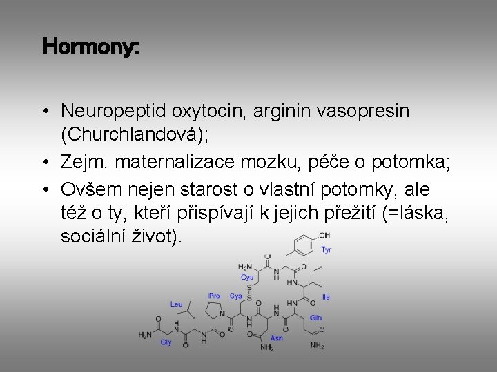 Hormony: • Neuropeptid oxytocin, arginin vasopresin (Churchlandová); • Zejm. maternalizace mozku, péče o potomka;