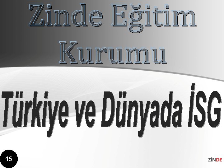 Zinde Eğitim Kurumu 15 ZİNDE 