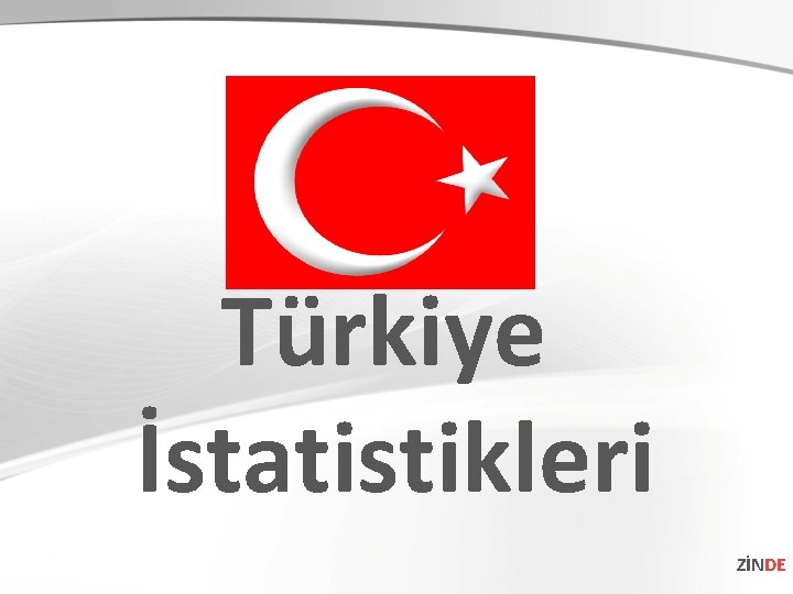 Türkiye İstatistikleri ZİNDE 