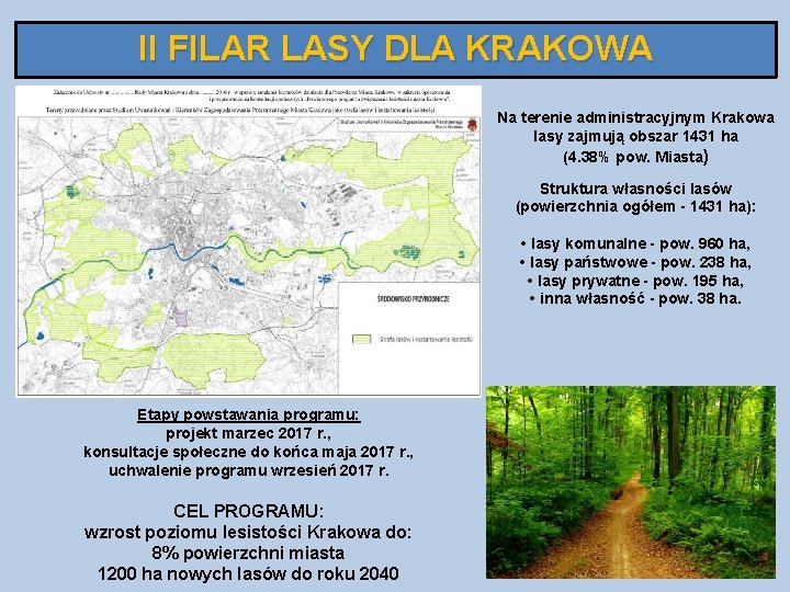 II FILAR LASY DLA KRAKOWA Na terenie administracyjnym Krakowa lasy zajmują obszar 1431 ha