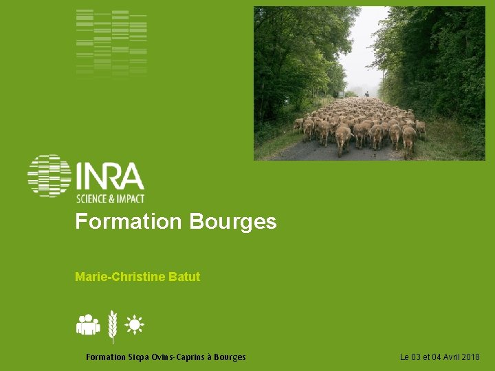 Formation Bourges Marie-Christine Batut Formation Sicpa Ovins-Caprins à Bourges Le 03 et 04 Avril