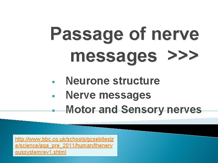 Passage of nerve messages >>> § § § Neurone structure Nerve messages Motor and