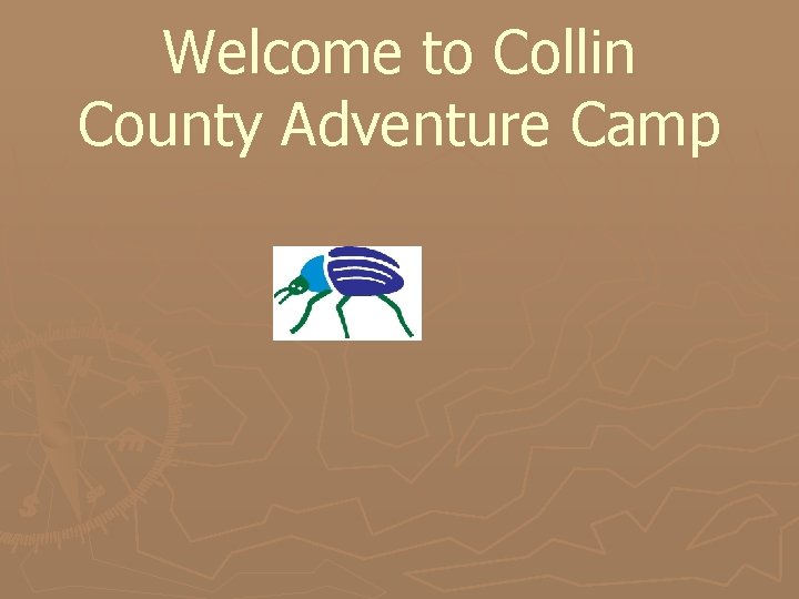 Welcome to Collin County Adventure Camp 