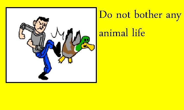 Do not bother any animal life 