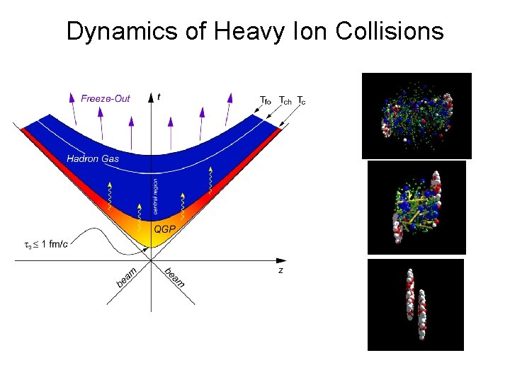 Dynamics of Heavy Ion Collisions Time scale Temperature scale 10 fm/c~10 -23 sec 100