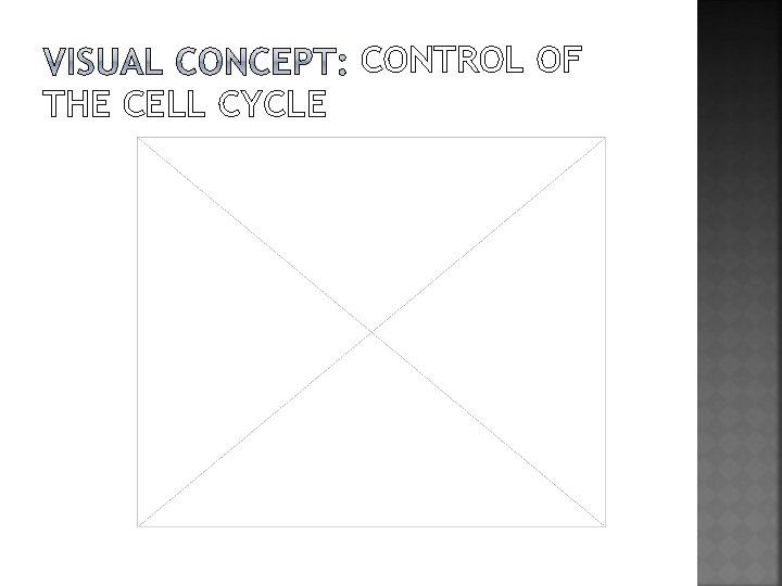 CONTROL OF THE CELL CYCLE 
