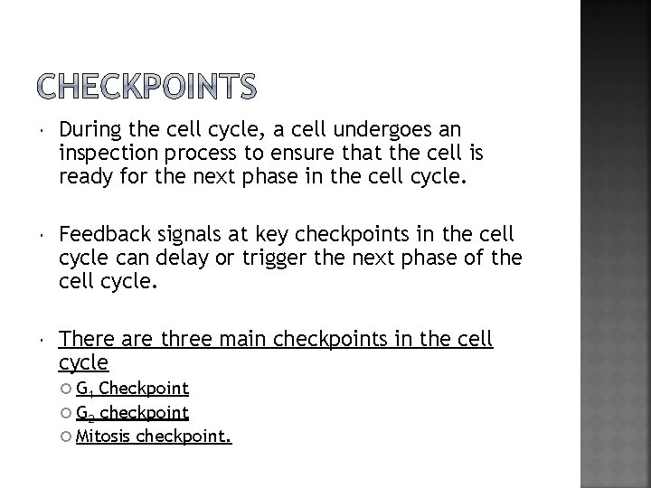  During the cell cycle, a cell undergoes an inspection process to ensure that