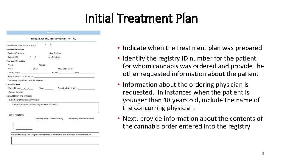 Initial Treatment Plan • Indicate when the treatment plan was prepared • Identify the