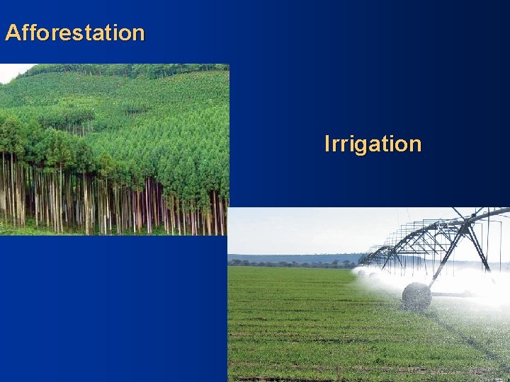 Afforestation Irrigation 