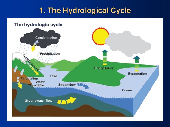 1. The Hydrological Cycle 
