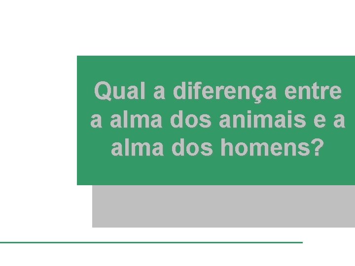 Qual a diferença entre a alma dos animais e a alma dos homens? 