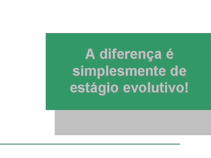 A diferença é simplesmente de estágio evolutivo! 