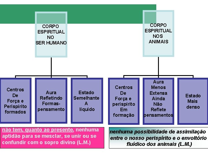 CORPO ESPIRITUAL NOS ANIMAIS CORPO ESPIRITUAL NO SER HUMANO Centros De Força e Perispírito