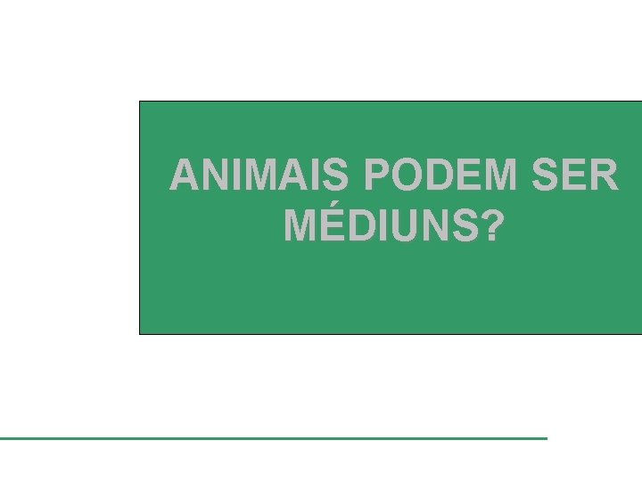 ANIMAIS PODEM SER MÉDIUNS? 