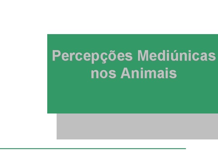 Percepções Mediúnicas nos Animais 