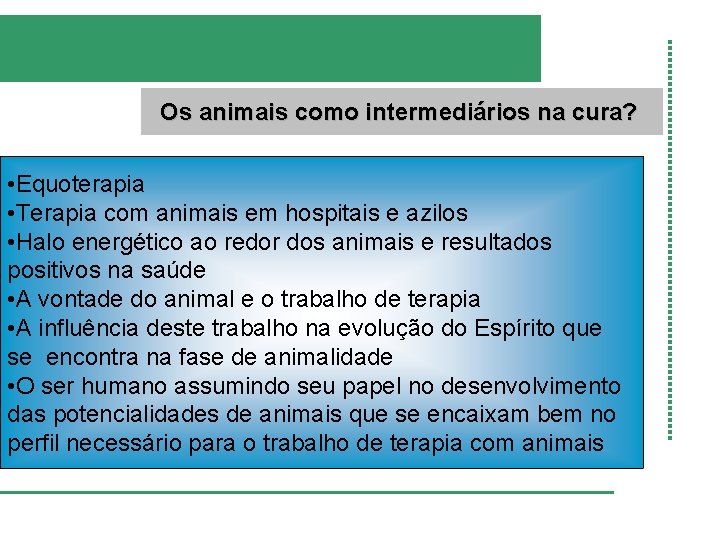 Os animais como intermediários na cura? • Equoterapia • Terapia com animais em hospitais