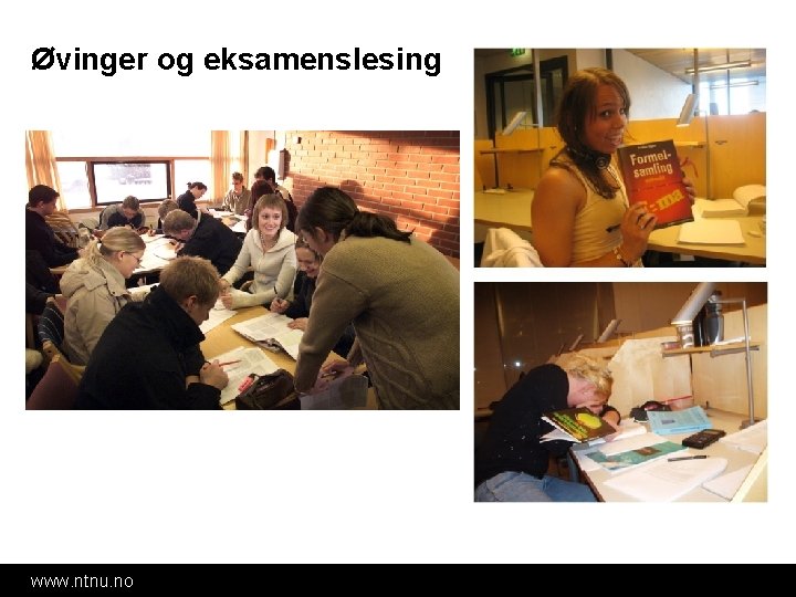 Øvinger og eksamenslesing www. ntnu. no 