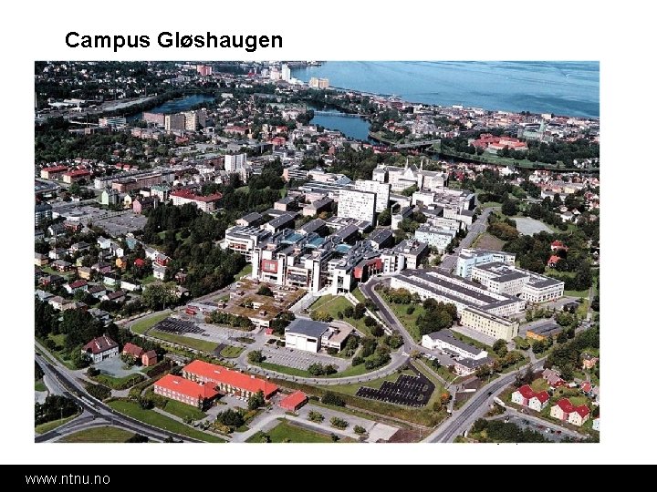 Campus Gløshaugen Foto: NTNU info/Fjellanger Widerøe Foto AS www. ntnu. no 