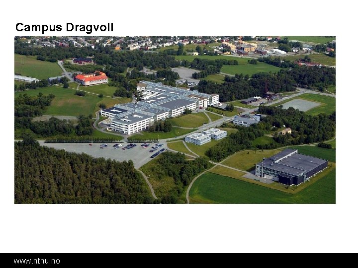 Campus Dragvoll www. ntnu. no 