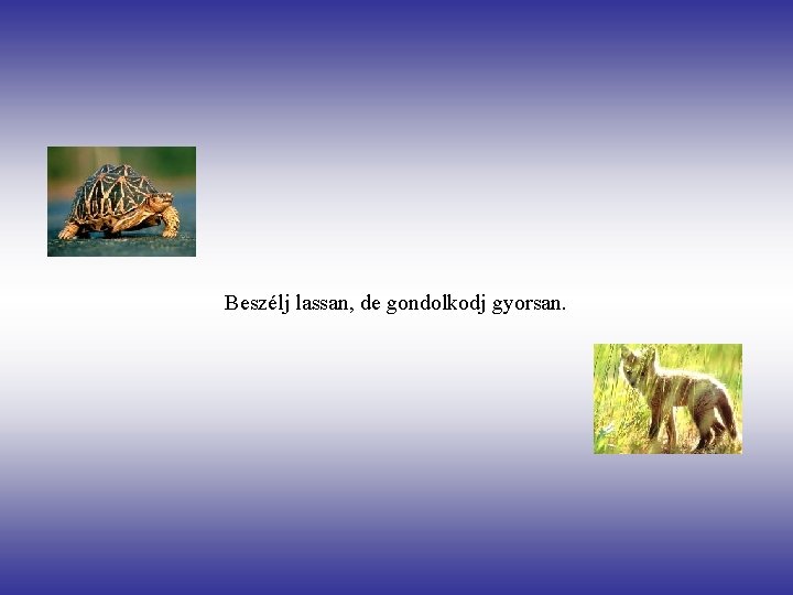 Beszélj lassan, de gondolkodj gyorsan. 