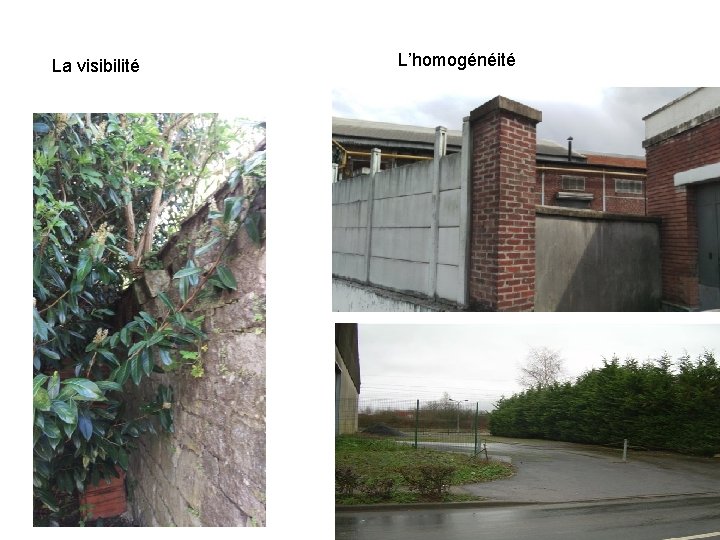 La visibilité L’homogénéité 