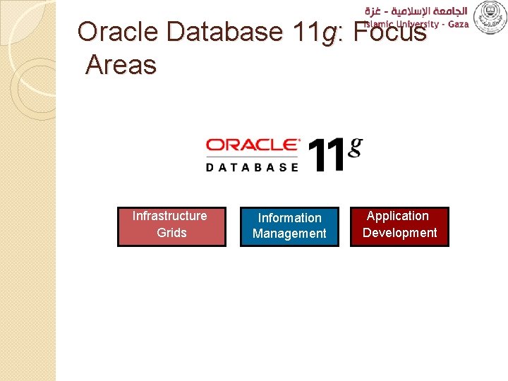 Oracle Database 11 g: Focus Areas Infrastructure Grids Information Management Application Development 