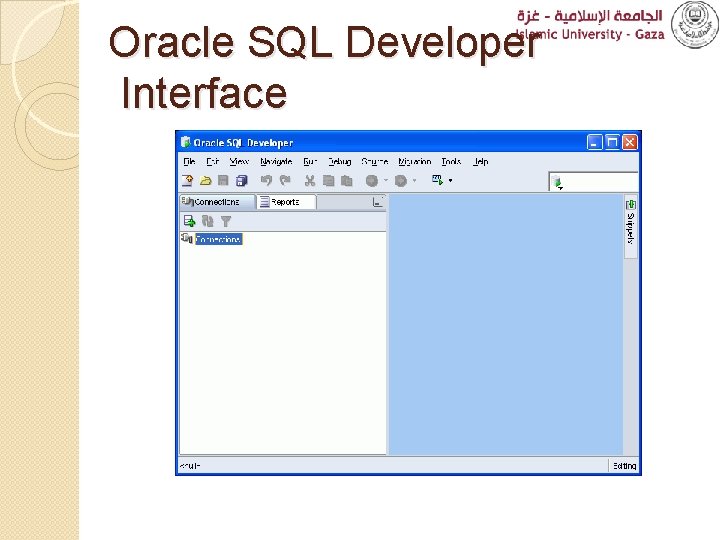 Oracle SQL Developer Interface 