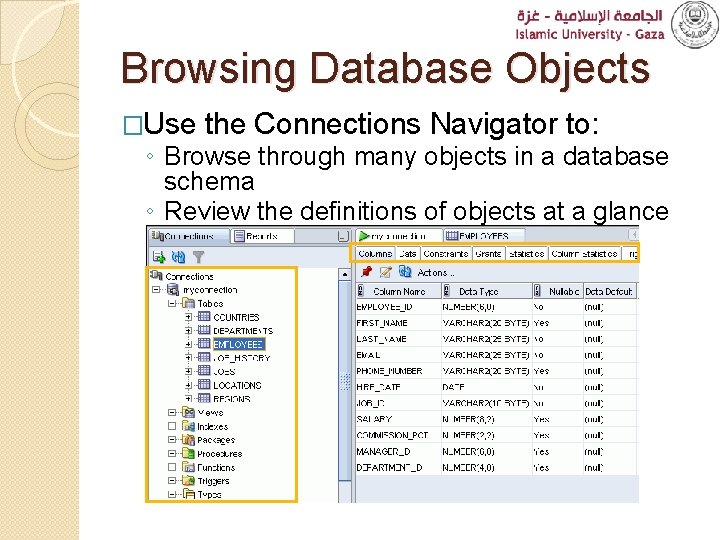 Browsing Database Objects �Use the Connections Navigator to: ◦ Browse through many objects in