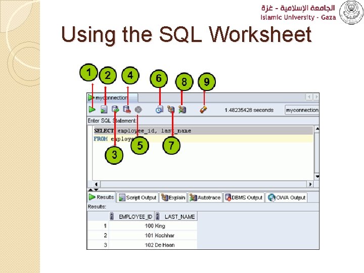 Using the SQL Worksheet 