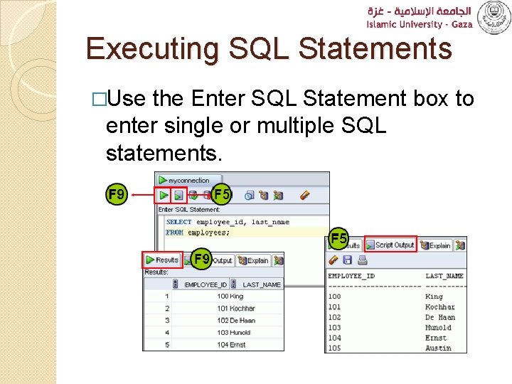 Executing SQL Statements �Use the Enter SQL Statement box to enter single or multiple