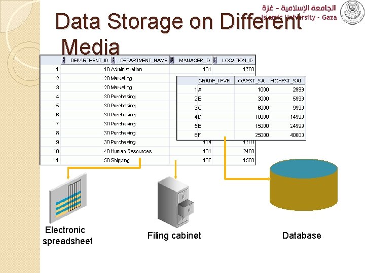Data Storage on Different Media Electronic spreadsheet Filing cabinet Database 