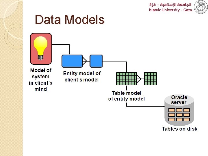 Data Models 