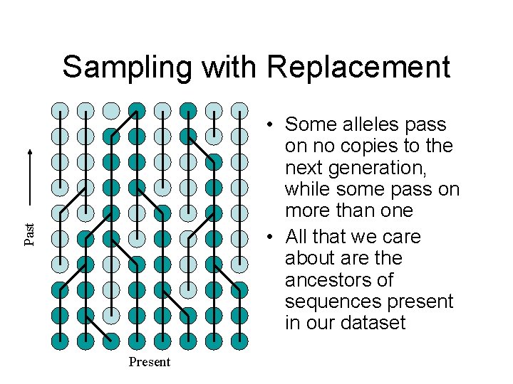 Sampling with Replacement Past • Some alleles pass on no copies to the next