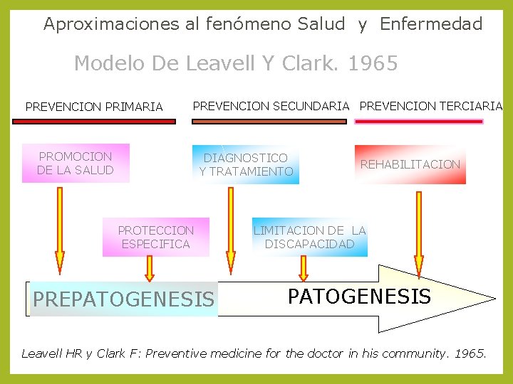 Aproximaciones al fenómeno Salud y Enfermedad Modelo De Leavell Y Clark. 1965 PREVENCION PRIMARIA