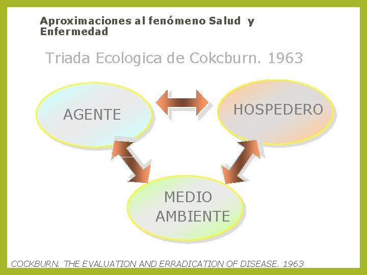 Aproximaciones al fenómeno Salud y Enfermedad Triada Ecologica de Cokcburn. 1963 HOSPEDERO AGENTE MEDIO