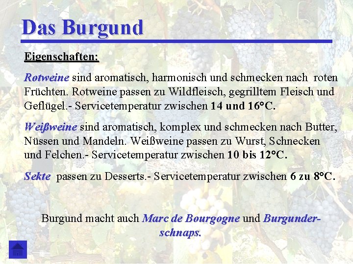 Das Burgund Eigenschaften: Rotweine sind aromatisch, harmonisch und schmecken nach roten Früchten. Rotweine passen