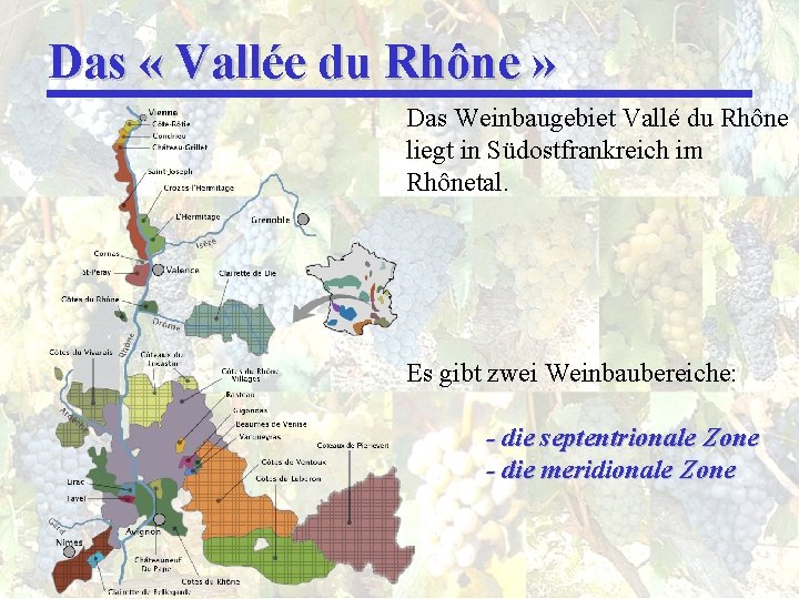 Das « Vallée du Rhône » Das Weinbaugebiet Vallé du Rhône liegt in Südostfrankreich