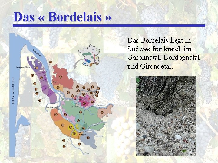 Das « Bordelais » Das Bordelais liegt in Südwestfrankreich im Garonnetal, Dordognetal und Girondetal. Das « Bordelais » Das Bordelais liegt in Südwestfrankreich im Garonnetal, Dordognetal und Girondetal.