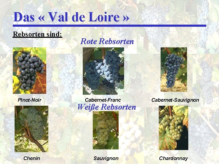 Das « Val de Loire » Rebsorten sind: Pinot-Noir Chenin Rote Rebsorten Cabernet-Franc Weiße