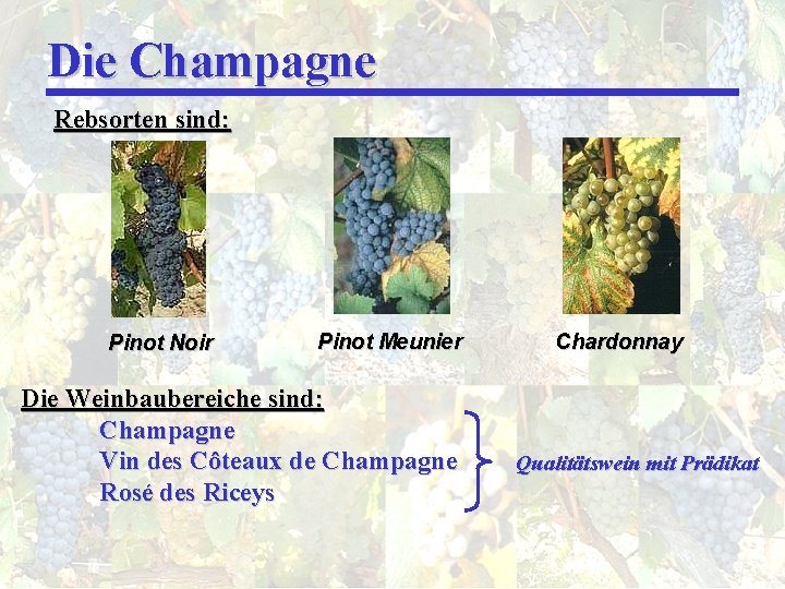 Die Champagne Rebsorten sind: Pinot Noir Pinot Meunier Die Weinbaubereiche sind: Champagne Vin des