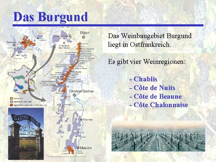 Das Burgund Das Weinbaugebiet Burgund liegt in Ostfrankreich. Es gibt vier Weinregionen: - Chablis