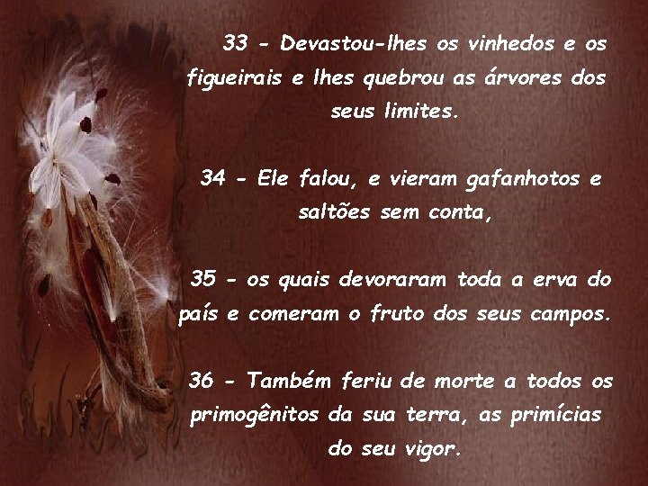 33 - Devastou-lhes os vinhedos e os figueirais e lhes quebrou as árvores dos