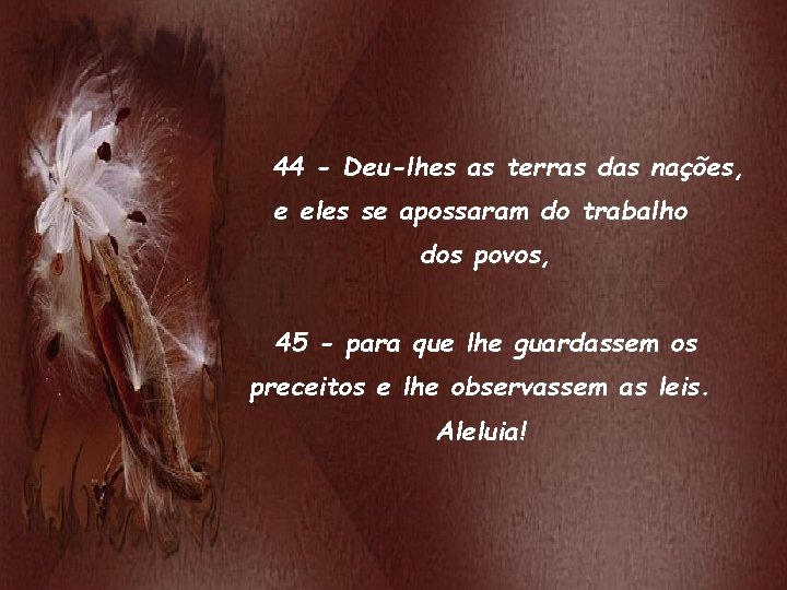 44 - Deu-lhes as terras das nações, e eles se apossaram do trabalho dos